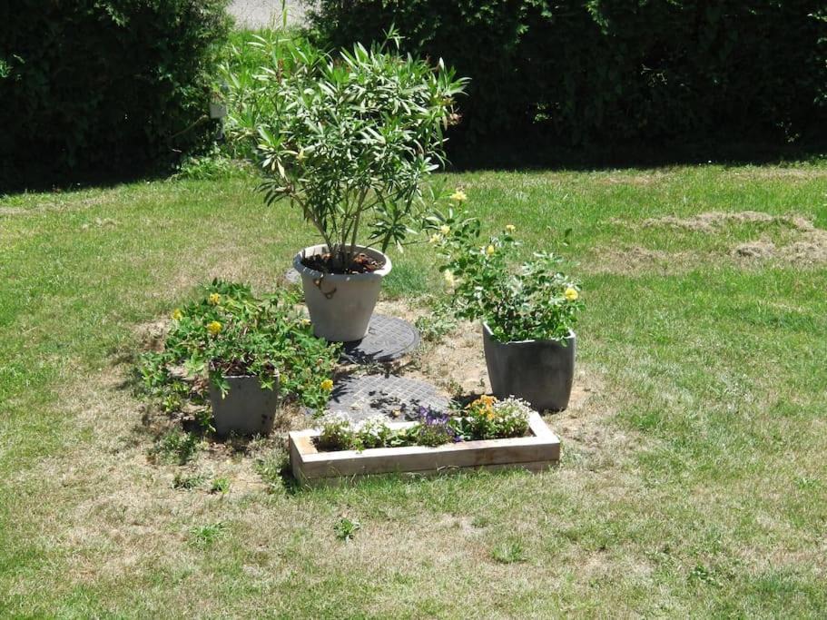 Photo of Others in Noaillac