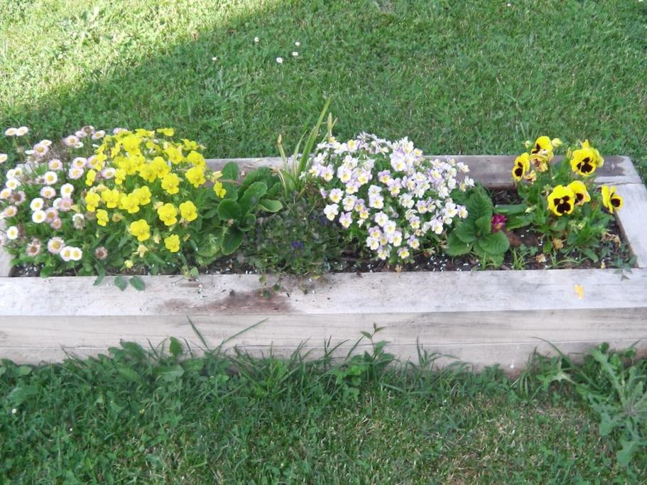 Photo of Others in Noaillac