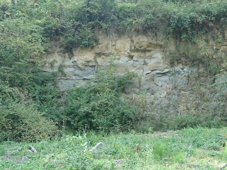 Photo of Others in Noaillac