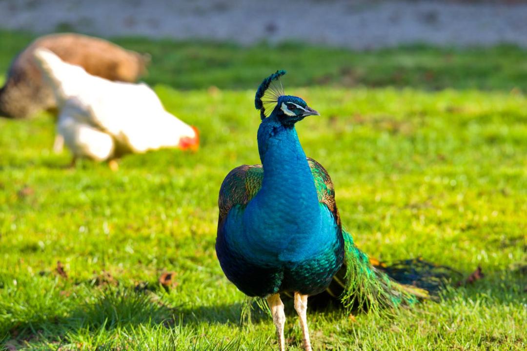 Photo of Others in Aigneville