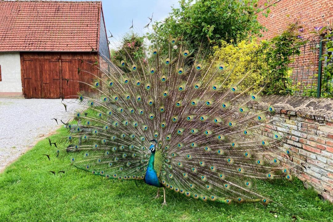 Photo of Others in Aigneville