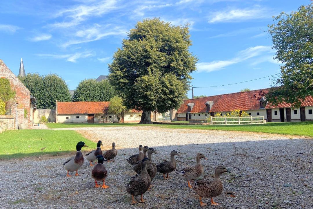 Photo of Others in Aigneville