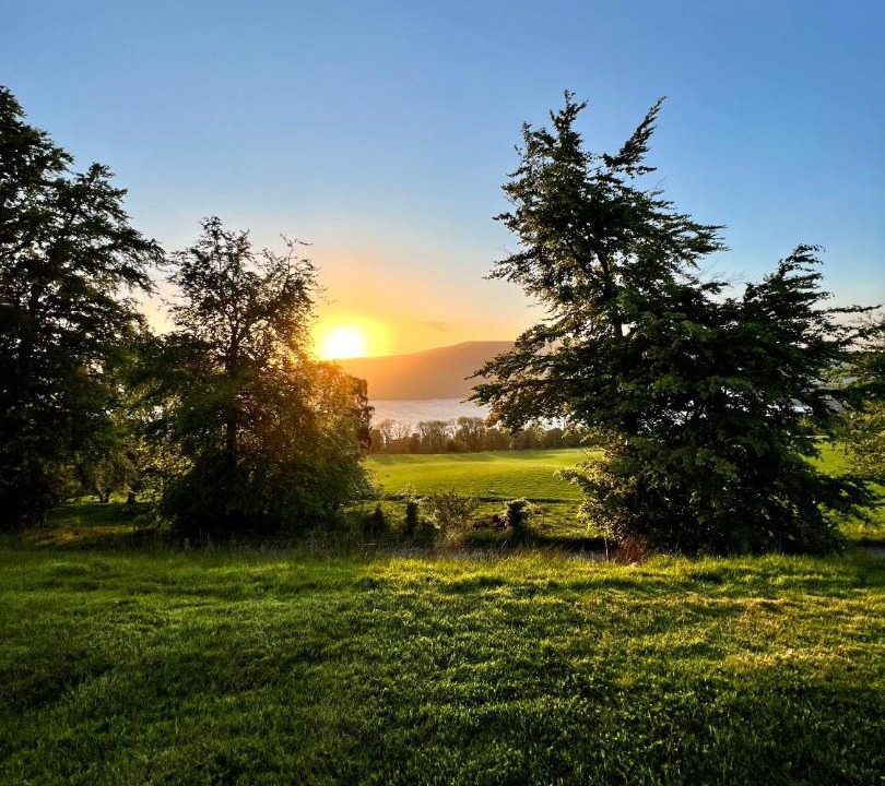 Photo of Others in Scaniport