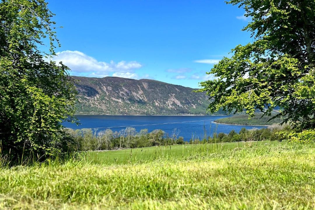 Photo of Outdoor in Scaniport