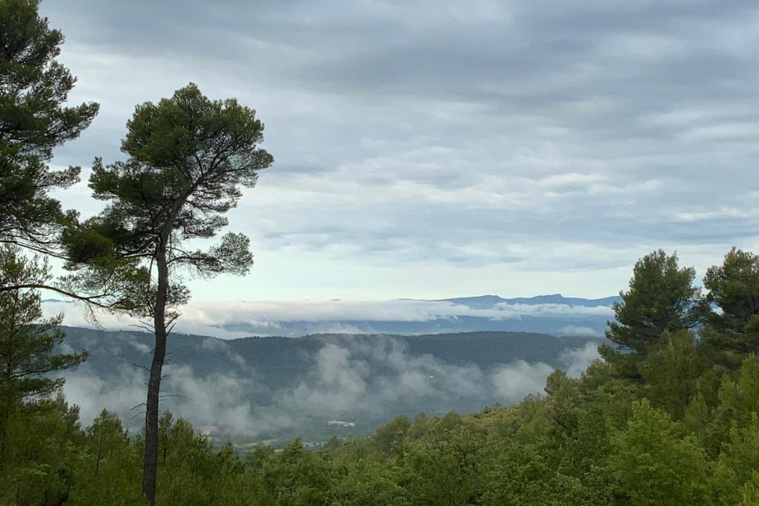 Photo of Others in Tourtour