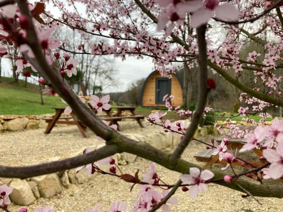 Photo of Others in Chazelles