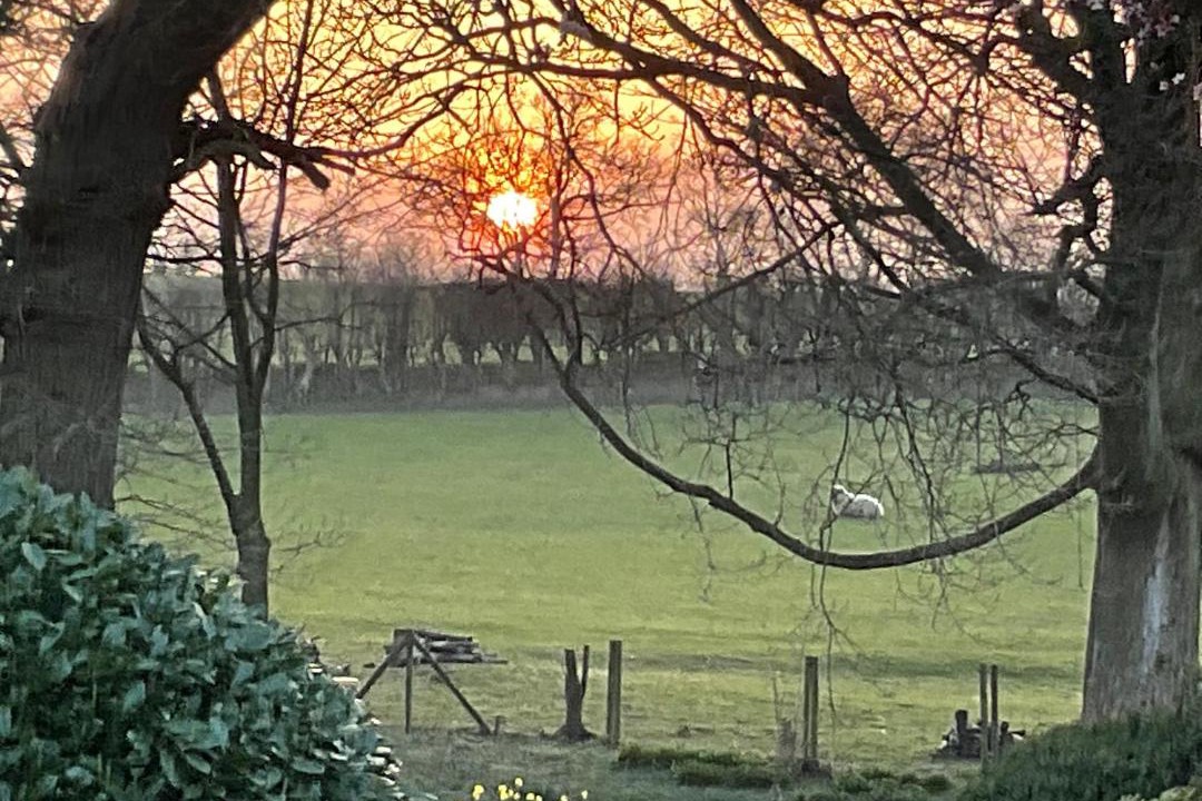 Photo of Others in Northallerton