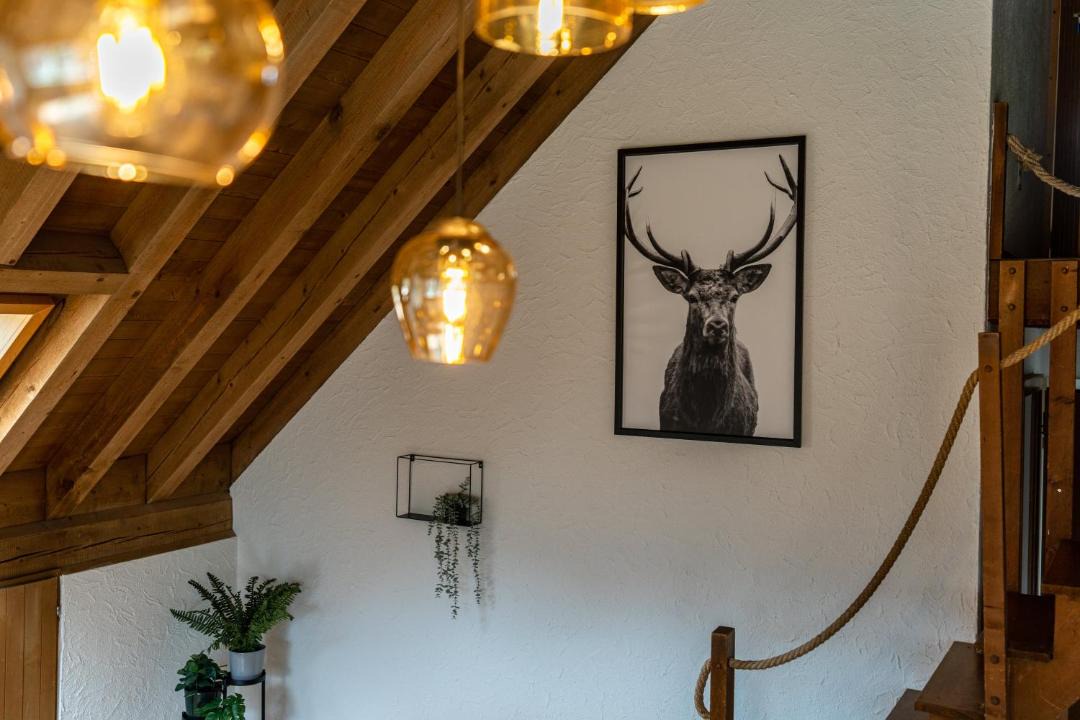 Photo of Others in Wilderswil