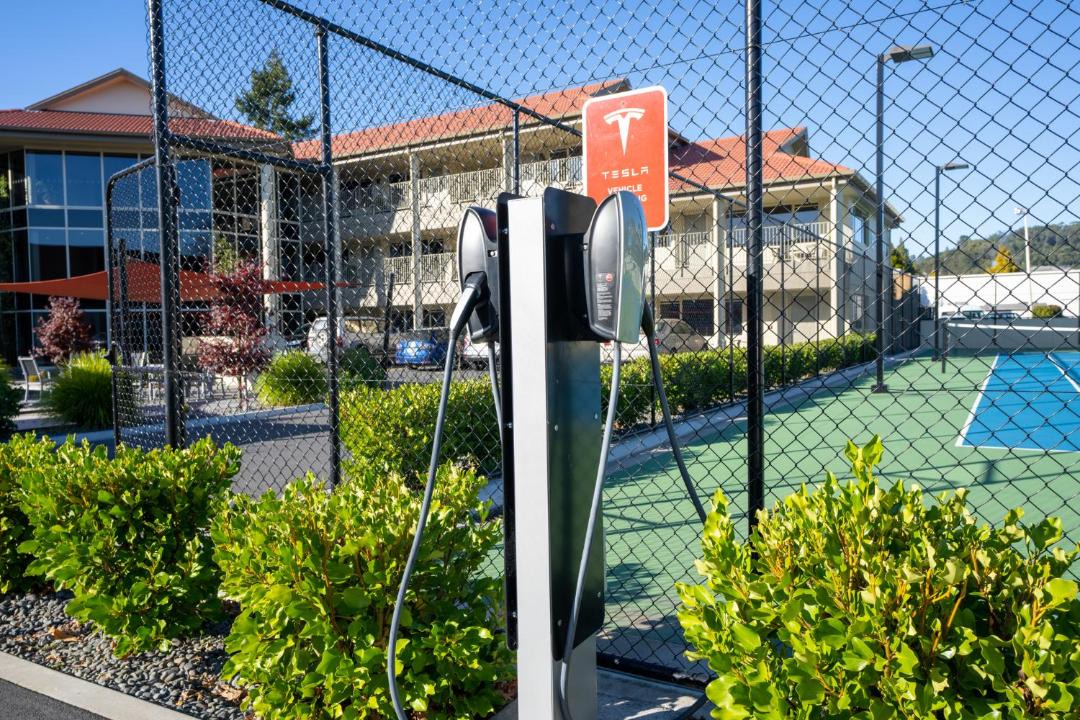 Photo of Outdoor in Rotorua