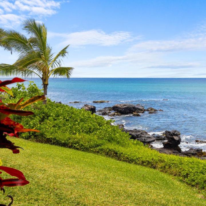 Photo of Others in Kahana