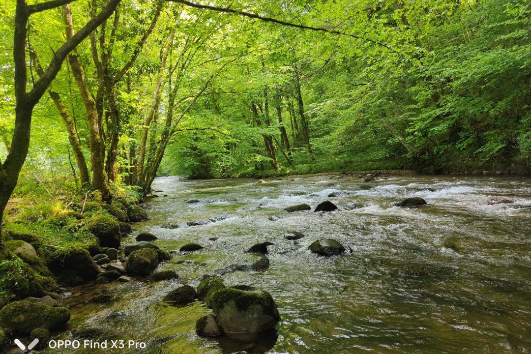 Photo of Others in Latouille-Lentillac