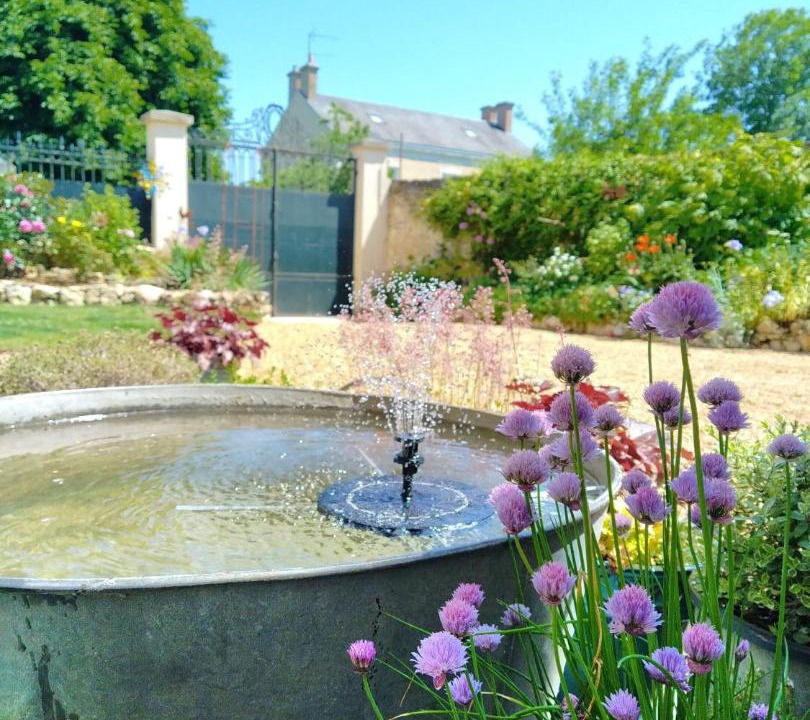 Photo of Others in Ige