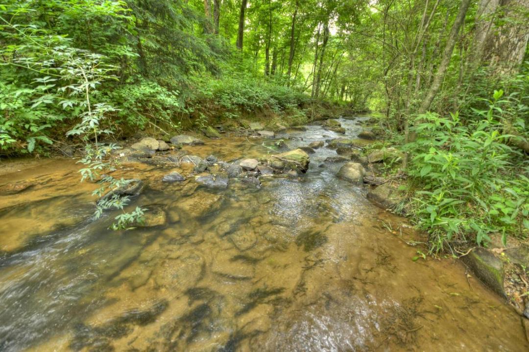 Photo of Others in Ellijay