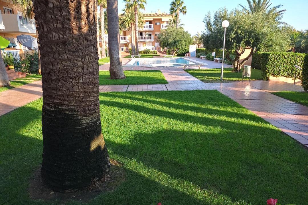 Photo of Others in Platja de Piles