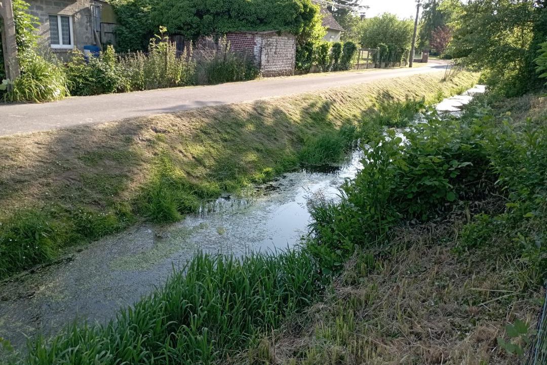 Photo of Others in Verton