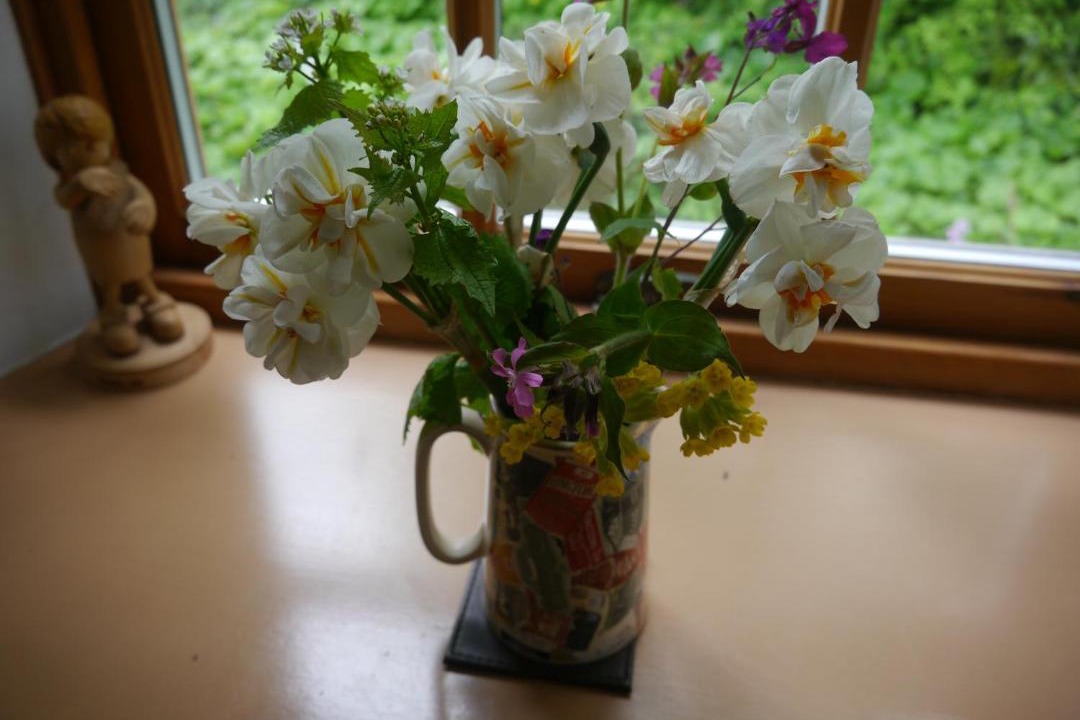 Photo of Others in Wooler