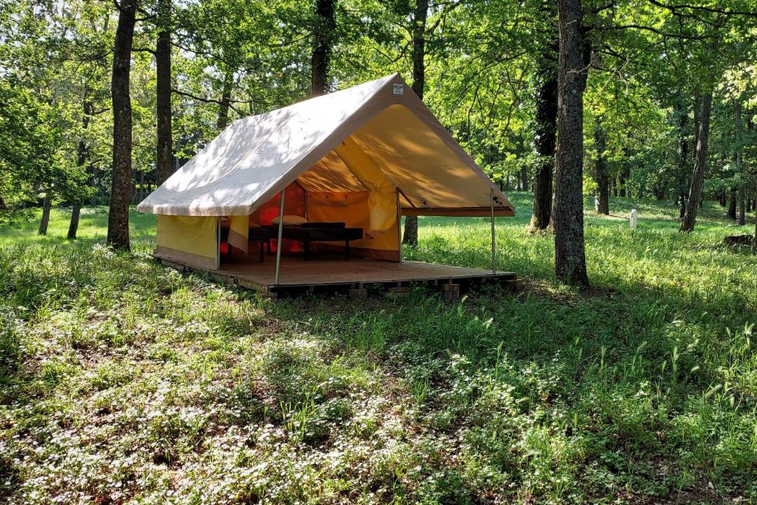 Photo of Others in Saint-Benoit-sur-Loire