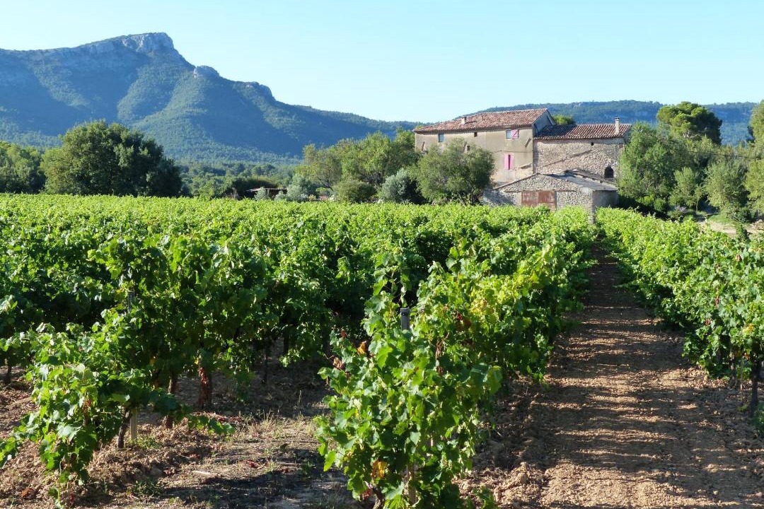 Photo of Outdoor in Trets