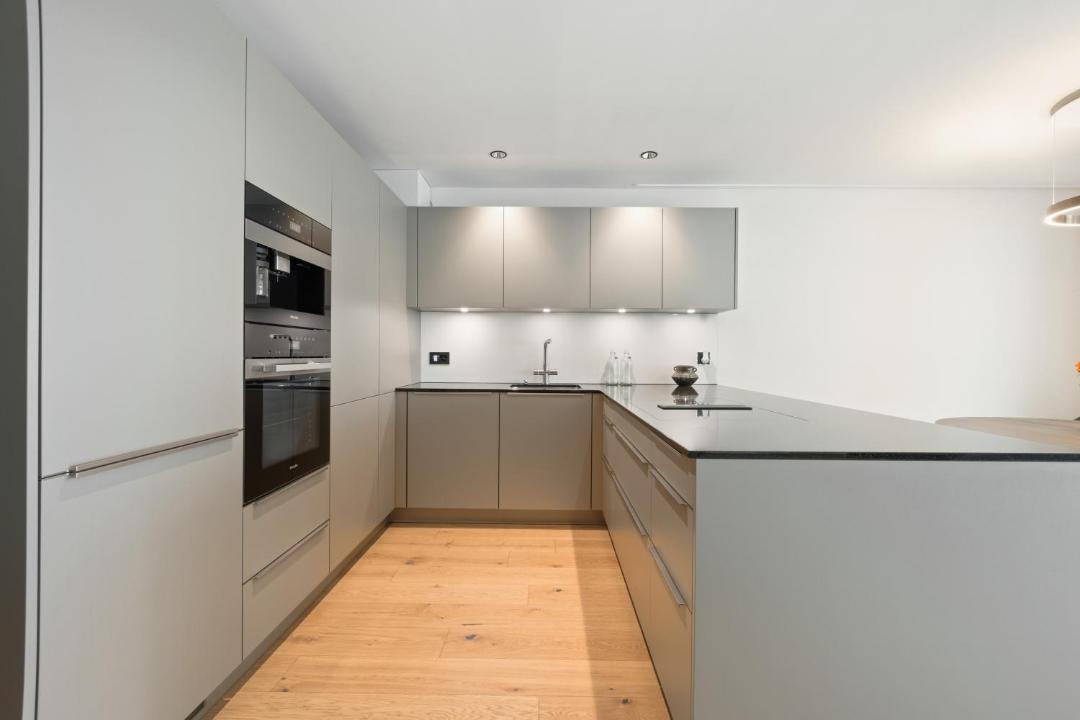 Photo of Kitchen in Dietikon District