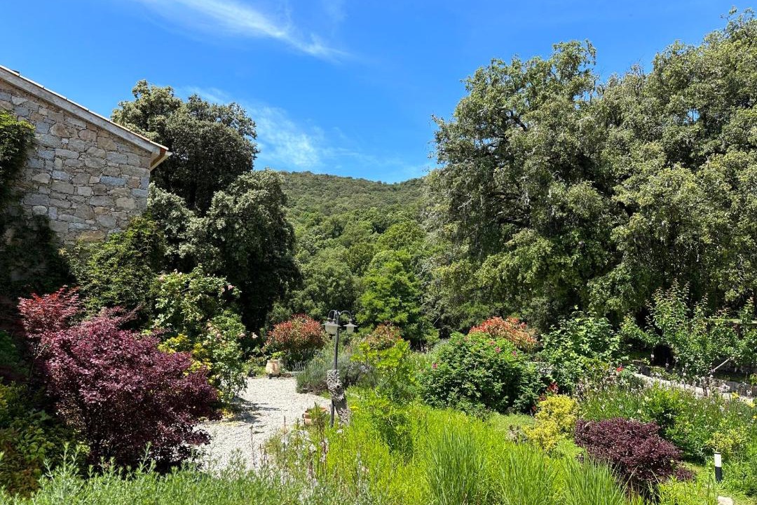 Photo of Others in Guitera-les-Baines