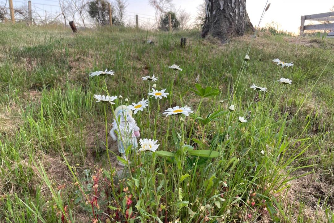 Photo of Outdoor in Aboyne