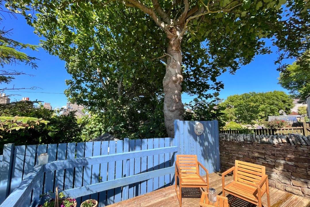 Photo of Others in St. Margaret's Hope