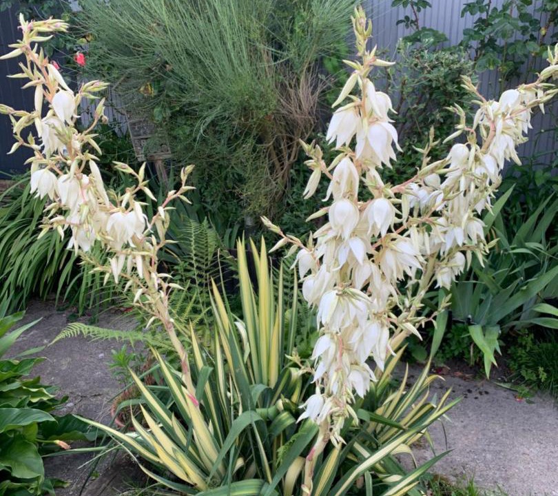 Photo of Others in Livarot