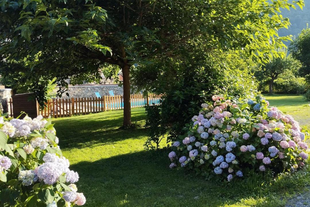 Photo of Others in Saint-Mamet