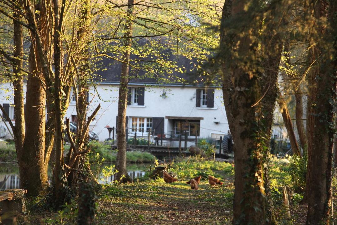 Photo of Buildings in Neuille-le-Lierre