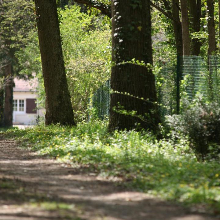 Photo of Others in Neuille-le-Lierre