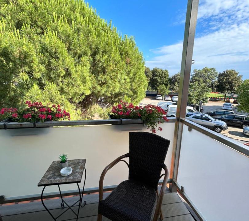Photo of Others in Novigrad