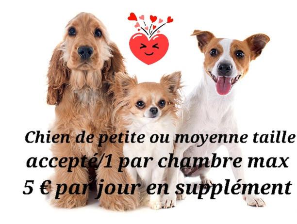 Photo of Others in Sangatte