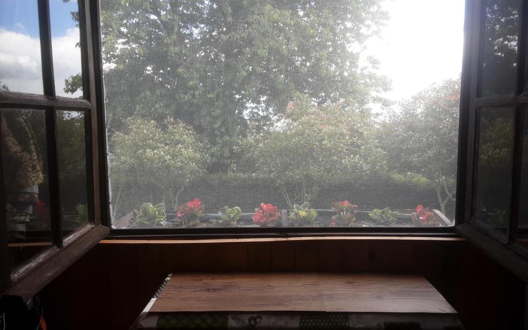 Photo of Others in Colombiers-du-Plessis