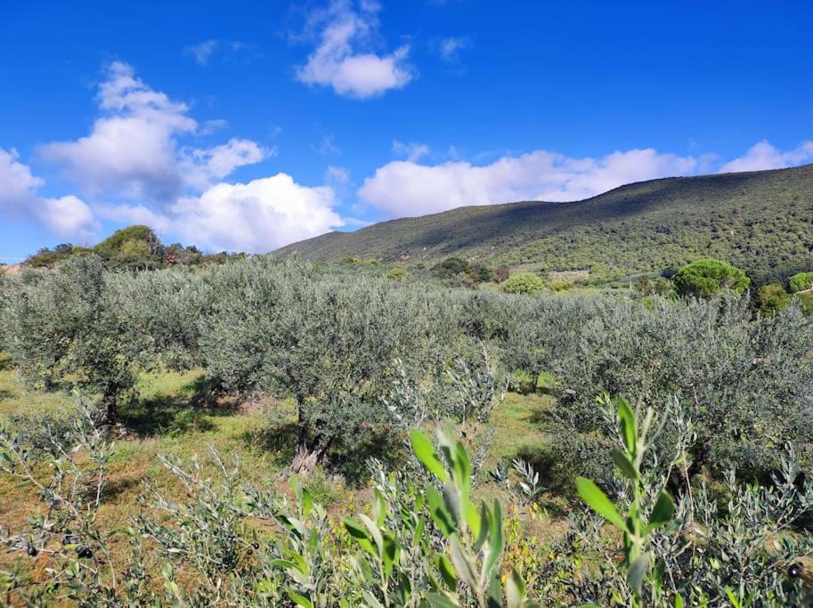 Photo of Others in Nyons