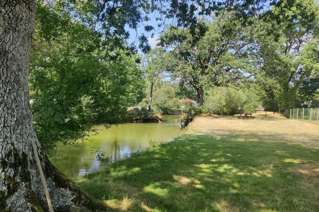 Photo of Others in Commequiers
