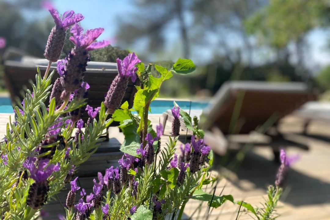 Photo of Others in Quartier des Espesses