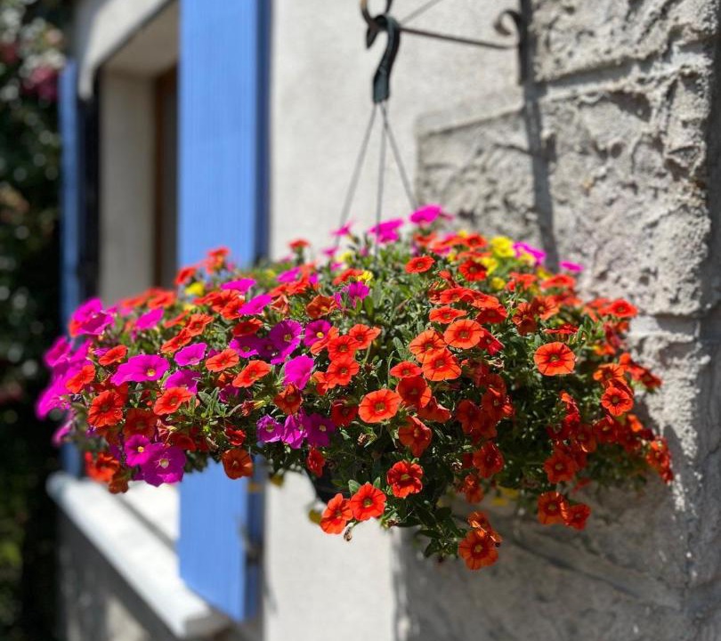 Photo of Others in Marat