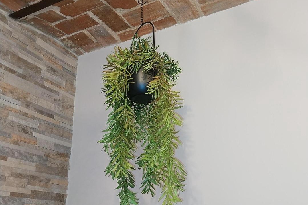 Photo of Others in Poigny