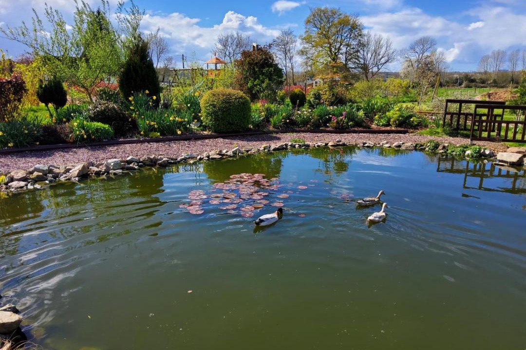 Photo of Others in Courtonne-la-Meurdrac