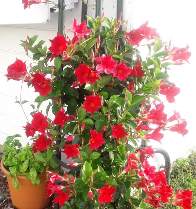 Photo of Others in Blingel