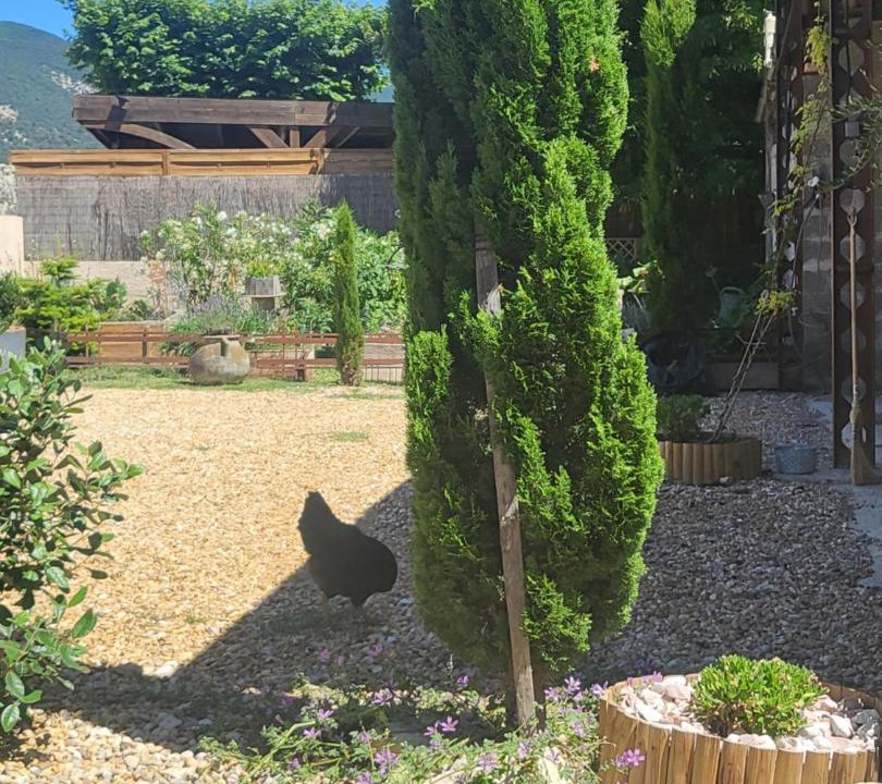 Photo of Others in Saint-Pantaleon-les-Vignes