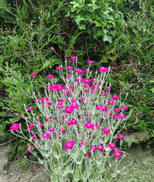 Photo of Others in Hambye