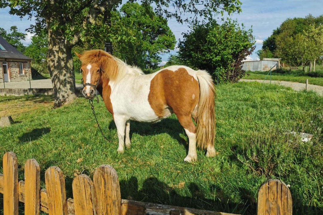 Photo of Others in Mee