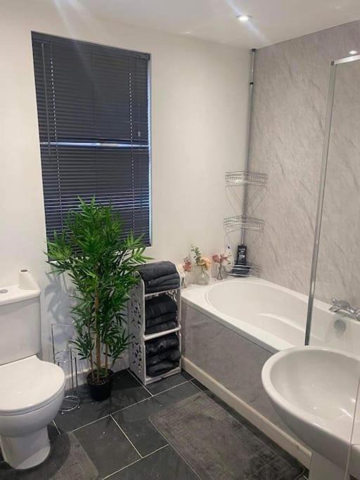 Photo of Bathroom in Minera