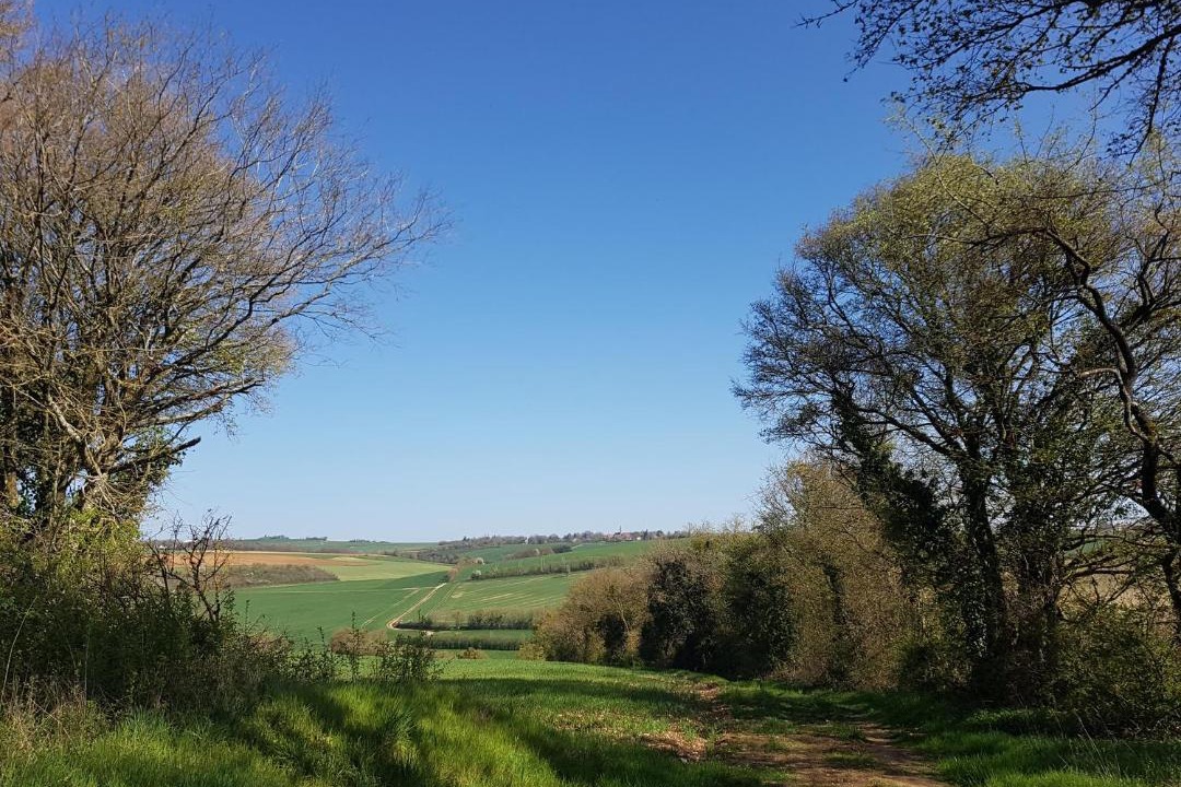 Photo of Others in Perreuse