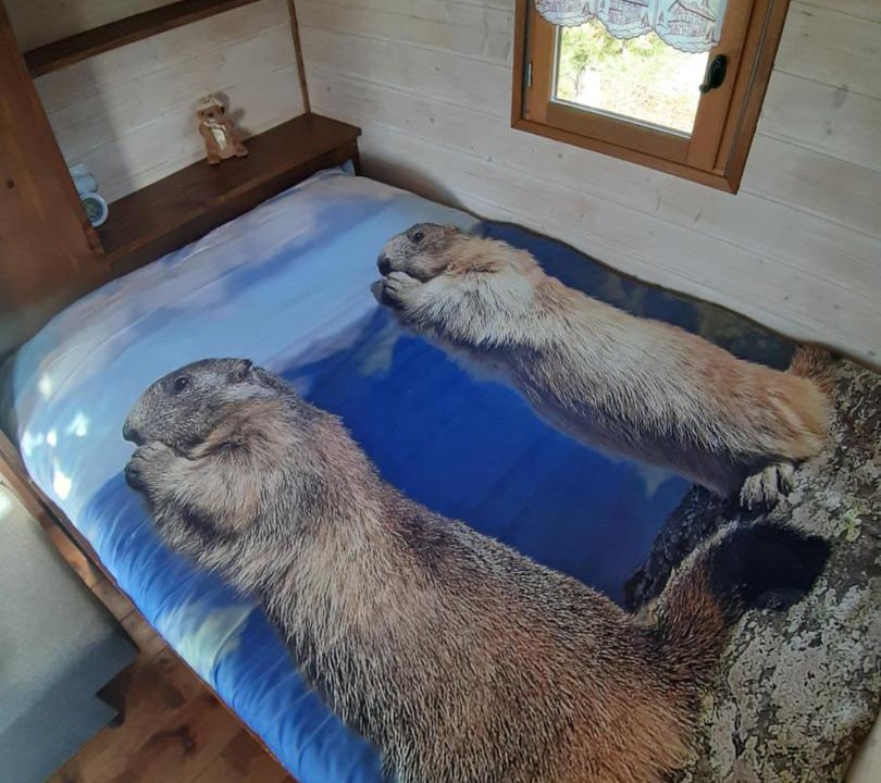 Photo of Others in Poinson-les-Fayl