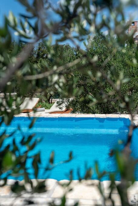 Photo of Outdoor in Donje Selo