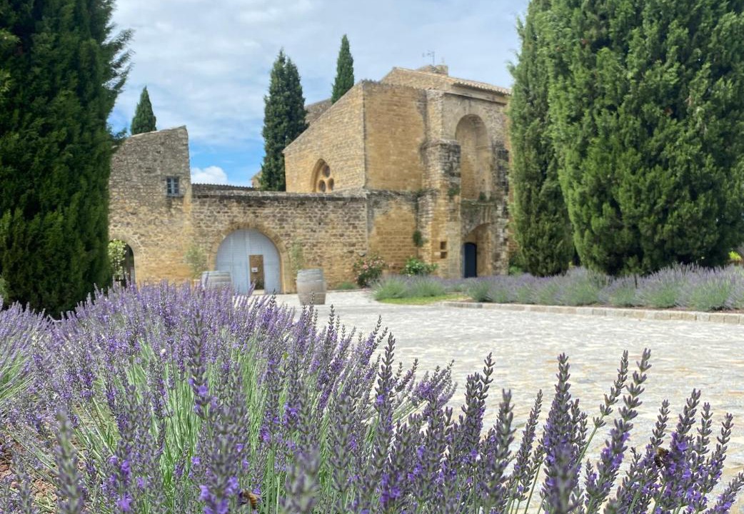 Photo of Others in Puyvert