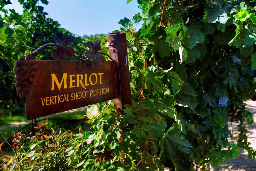 Photo of Others in Lodi