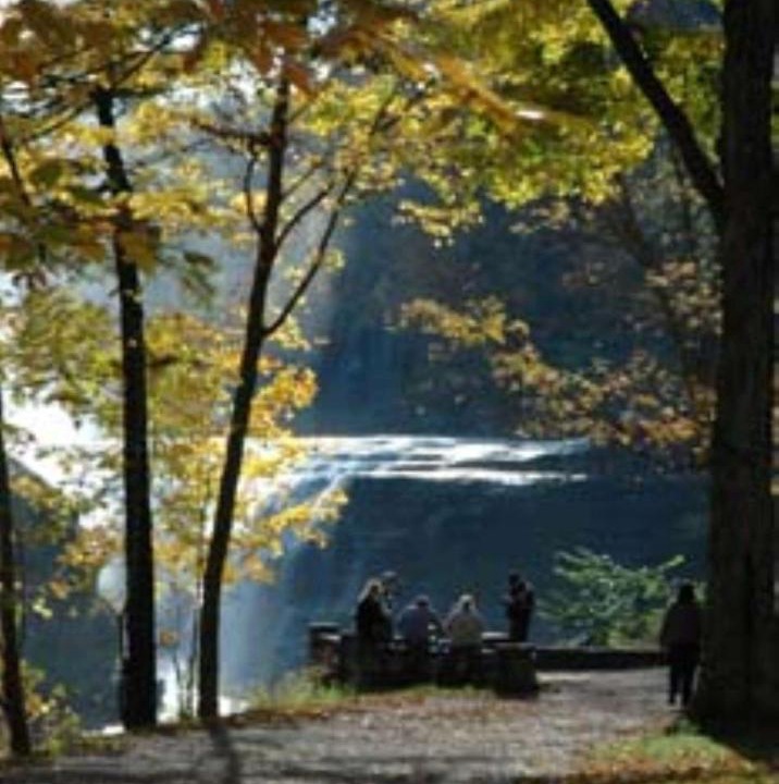 Photo of Others in Geneseo